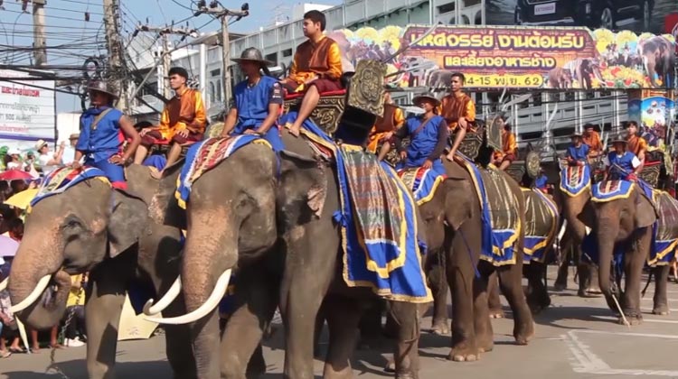 Elefantenzwillinge führten die Parade an