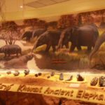 Prähistorische Elefanten im Geopark von Khorat