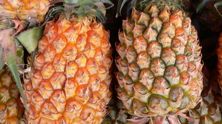 Ananas