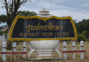 Ban Tha KLang Elefantendorf