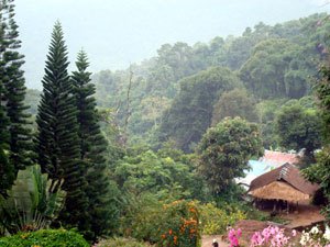 Altersruhesitz in Thailand - Bergdorf in Nordthailand bei Chiang Rai