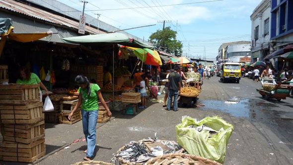 Carbon Market in Cebu
