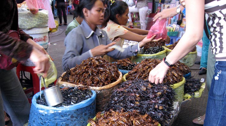 Stand mit frittierten Taranteln in Kambodscha