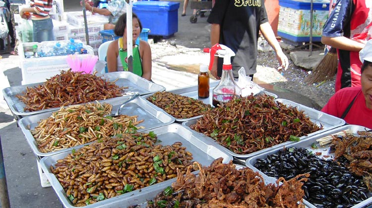 Straßenstand in Bangkok mit gerösteten Insekten
