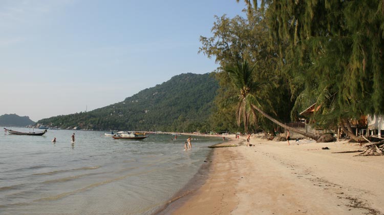 Koh Tao Sairee Beach