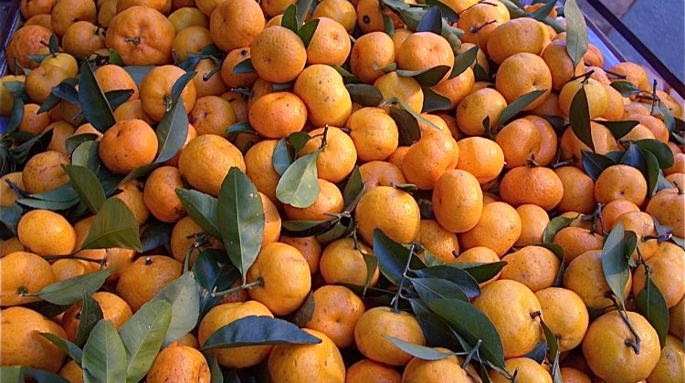 Orangen auf einem Thai Markt