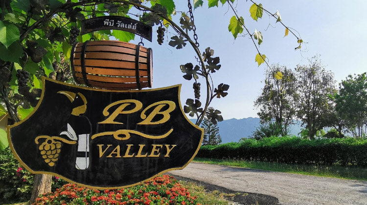 Weinkellereien in Thailand, die alle Weinliebhaber kennen sollten - Photo: PB Valley Khao Yai Weingut