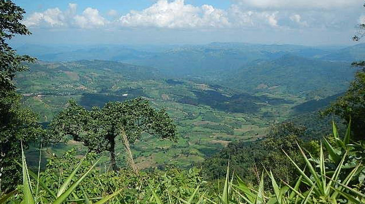 Die fünf besten Nationalparks in Thailand in der Regenzeit: Phu Ruea-Nationalpark