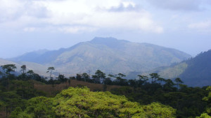 Der Phu Soi Dao Nationalpark an der Grenze zu Laos