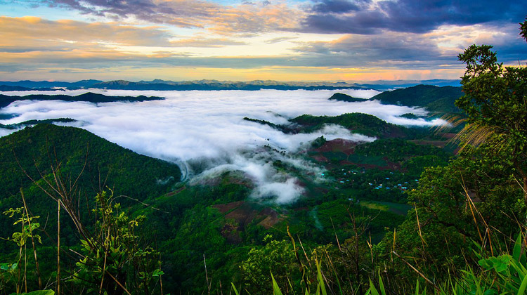 Die fünf besten Nationalparks in Thailand in der Regenzeit: Phu Toei-Nationalpark