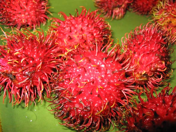 Rambutan