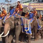 Elefantenzwillinge führten die Parade an