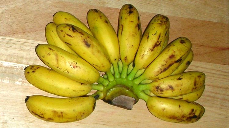 Thailändische Bananen