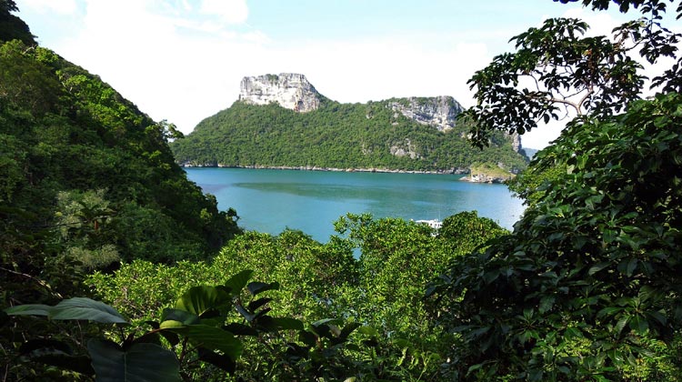 Mu Ko Ang Thong-Nationalpark in Surat Thani