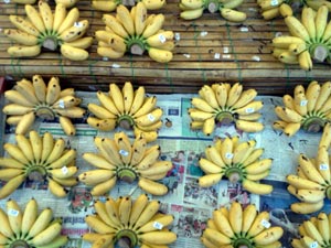 Bananen - tropische Früchte Thailands