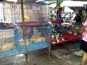 Wochenmarkt in der Soi Buakhao