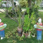 Garten im Chavieng Resort in Jomtien
