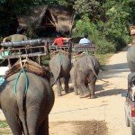 Elefanten-Camp in der Nähe von Chiang Mai