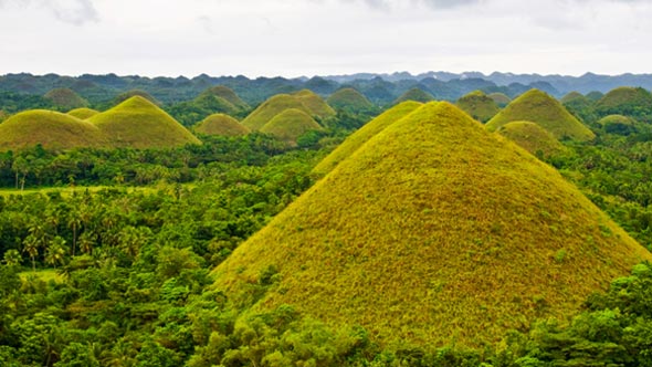 Chocolate Hills auf der Insel Bohol