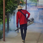 DEngue-Fieber Prävention in Thailand