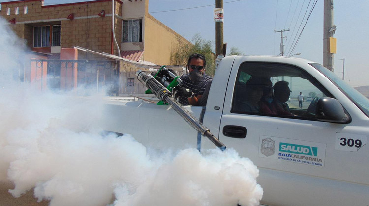 Jetzt breitet sich das Dengue-Fieber in ganz Südostasien aus