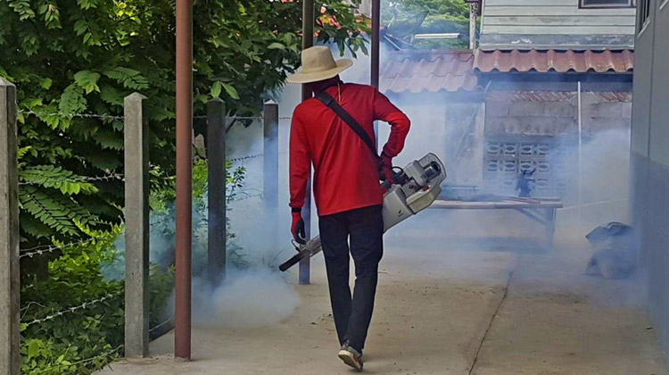 Dengue-Fieber Prävention in Thailand