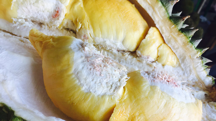 Keine Durian Frucht in öffentlichen Verkehrsmitteln