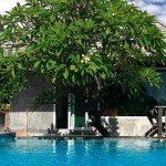 Privat-Pool im Eravana ECO - Chic Resort in Pattaya