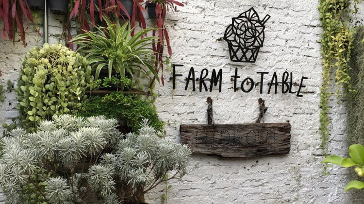 5 Top Restaurants in Bangkok in denen man gesund essen kann: Farm to Table Organic Cafe