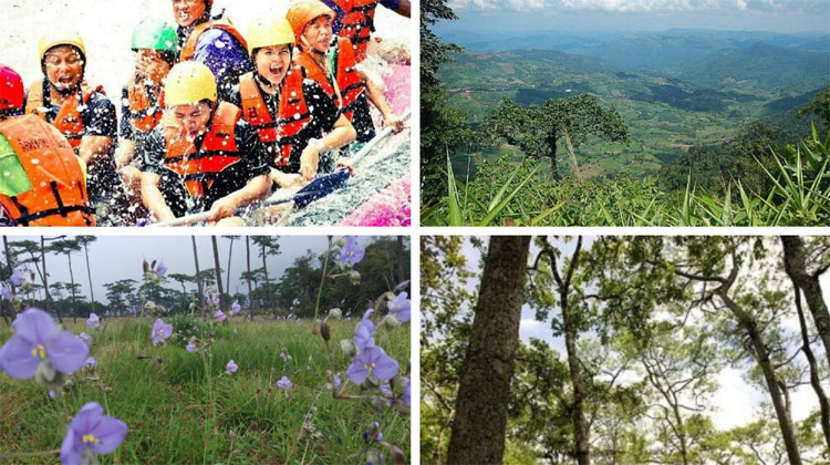 Die fünf besten Nationalparks in Thailand während der Regenzeit