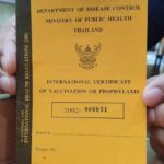 Thailand führt offiziell internationalen Impfpass für Reisende ein