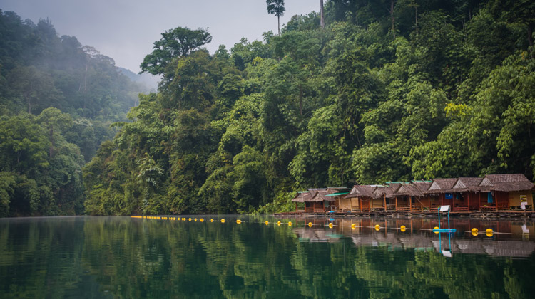 Khao Sok Nationalpark in Surat Thani