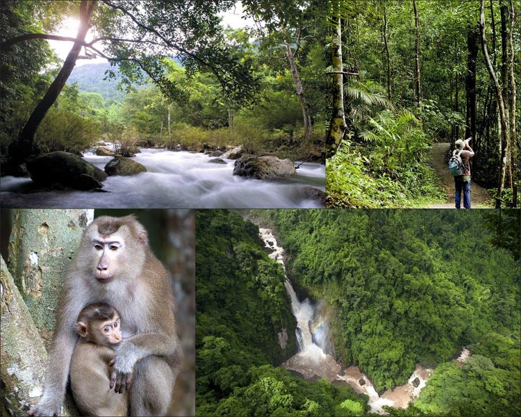 Khao Yai Nationalpark in Thailand