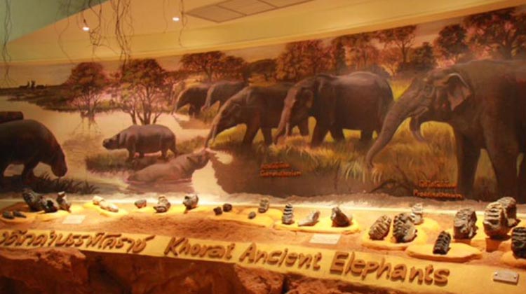 Ausstellung prähistorischer Elefanten im Geopark von Khorat
