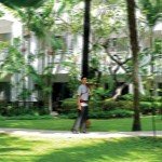 Gartenlandschaft im Marriott Resort & Spa