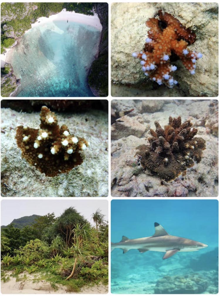 Photos von der Maya Bay |Photos: Thon Thamrongnawasawat und das Marine National Park Operation Centre