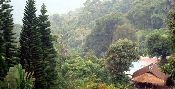 Landschaft in Nord-Thailand