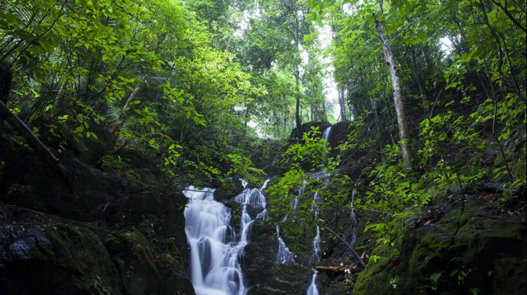 Tonsai-Wasserfall im Khao Phra Thaeo Wildlife Sanctuary